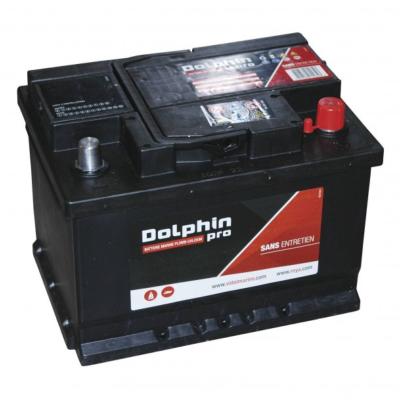 BATTERIE MARINE USAGE MIXTE DOLPHIN PRO 108A