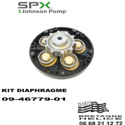 KIT DIAPHRAGME POUR POMPE JOHNSON WPS 3.4 09-46779-01