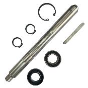 KIT ARBRE DP3 SANS POUPEE QUICK FVSSADP30000A00